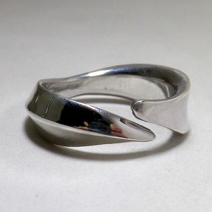 order sample [free design ring]